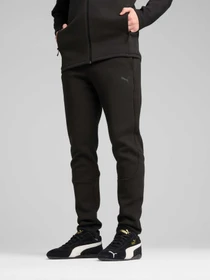 Брюки PUMA Evostripe Core Pants модель 631533 Фото