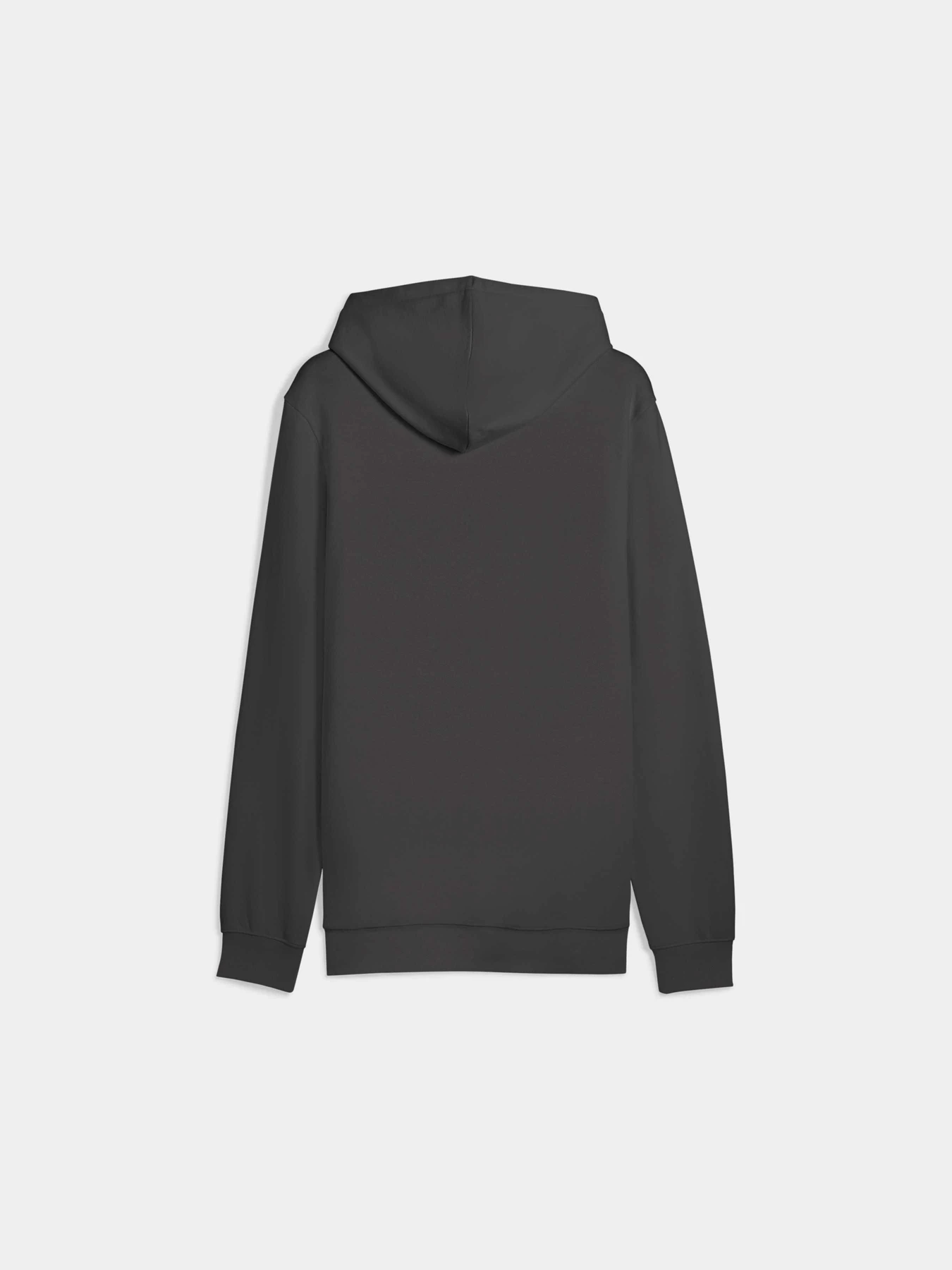 Худі та світшоти PUMA Ess Elevated Hoodie модель 684728 Фото