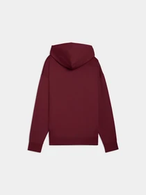 Худі та світшоти PUMA Ess Elevated Hoodie Fl модель 688100 Фото