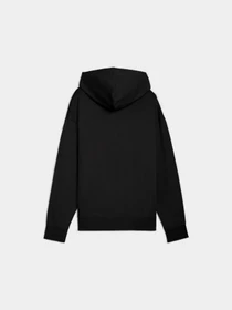 Худі та світшоти PUMA Ess Elevated Hoodie Fl модель 688100 Фото