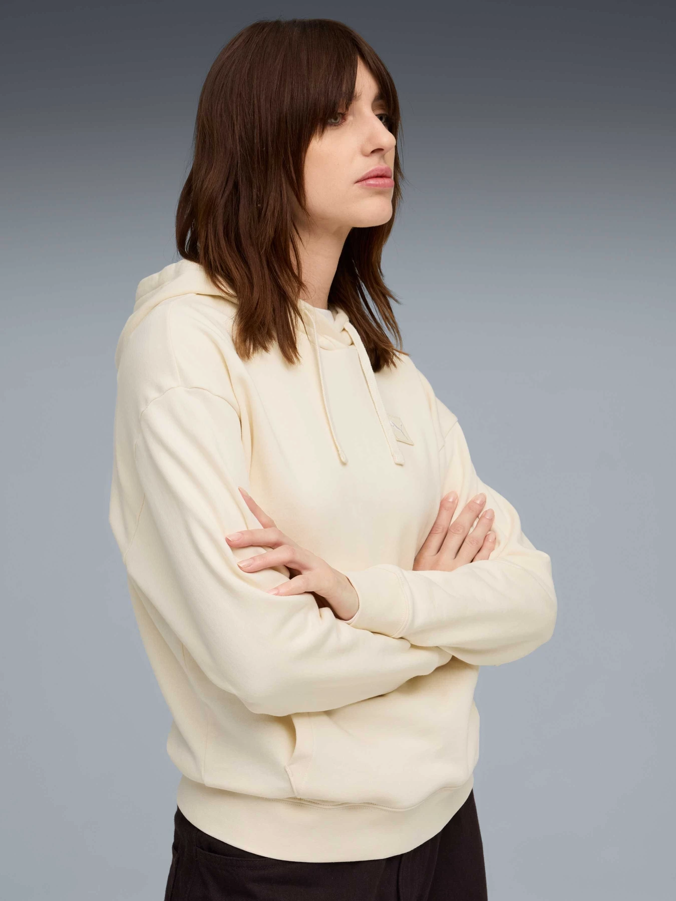 Худі та світшоти PUMA Ess Elevated Hoodie Fl модель 688100 Худі та світшоти PUMA Ess Elevated Hoodie Fl модель 688100 Фото