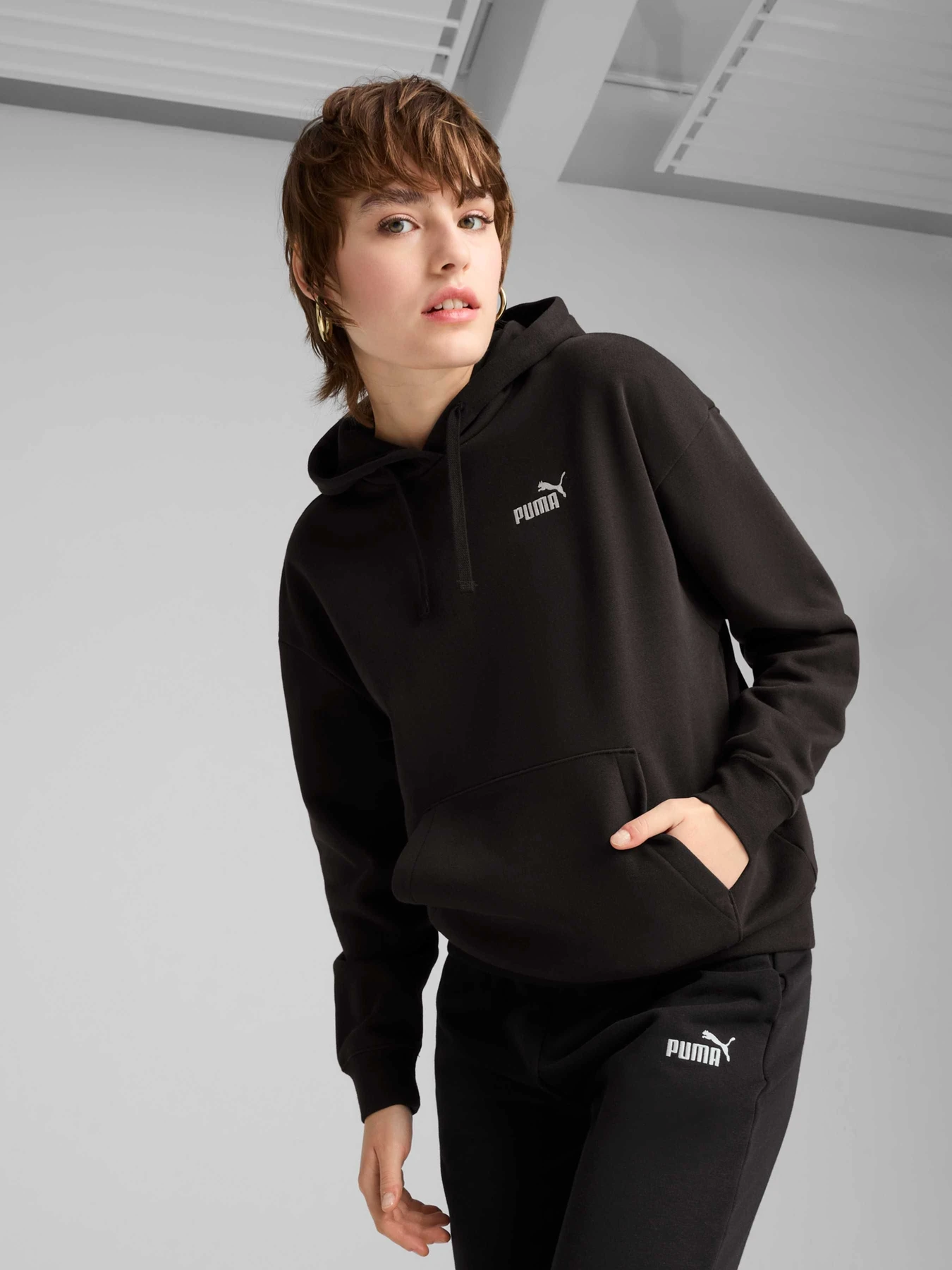 Худі та світшоти PUMA Ess Small No. 1 Logo Hoodie модель 682396 Худі та світшоти PUMA Ess Small No. 1 Logo Hoodie модель 682396 Фото