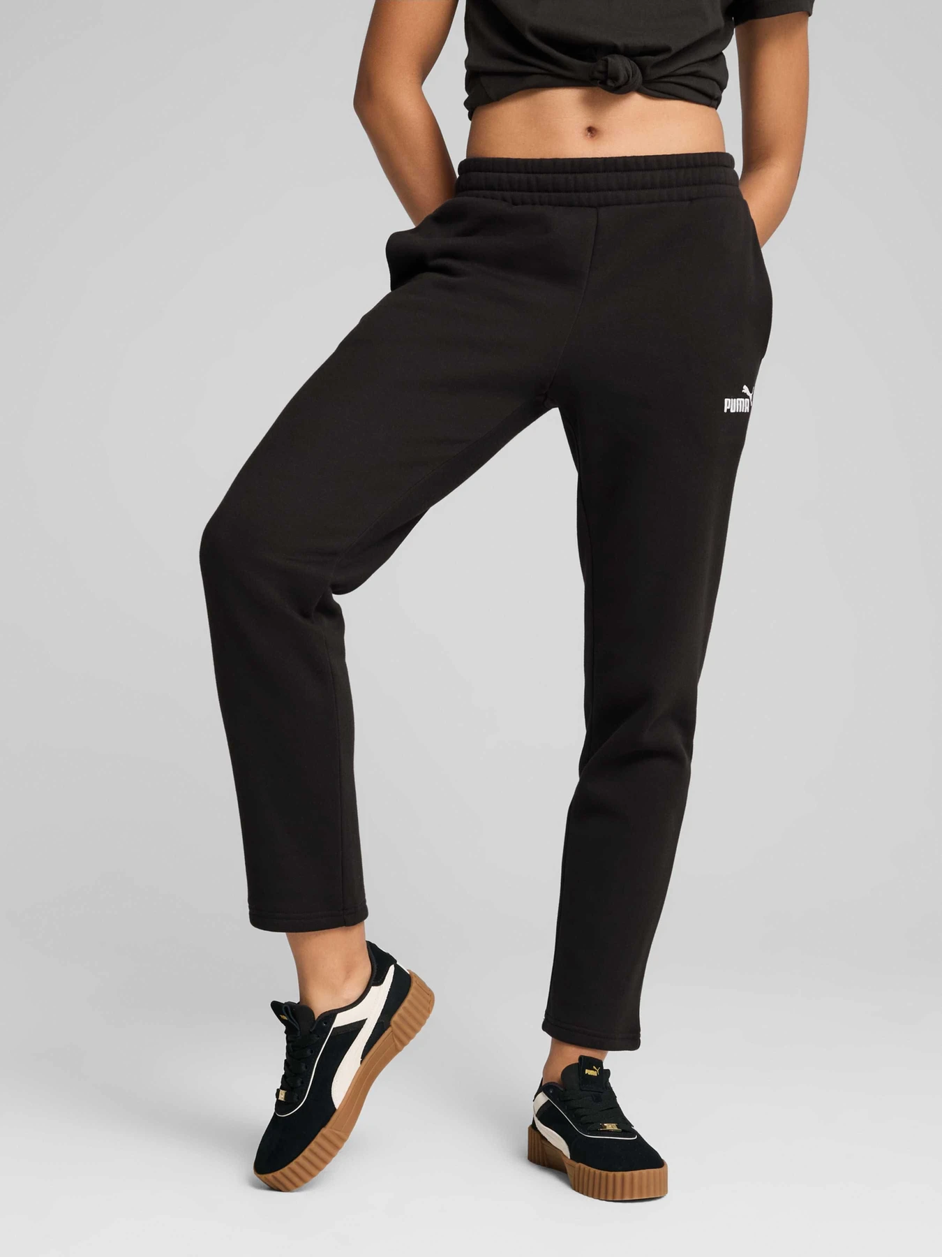 Штани PUMA Ess No. 1 Logo Sweatpants модель 682452 Штани PUMA Ess No. 1 Logo Sweatpants модель 682452 Фото