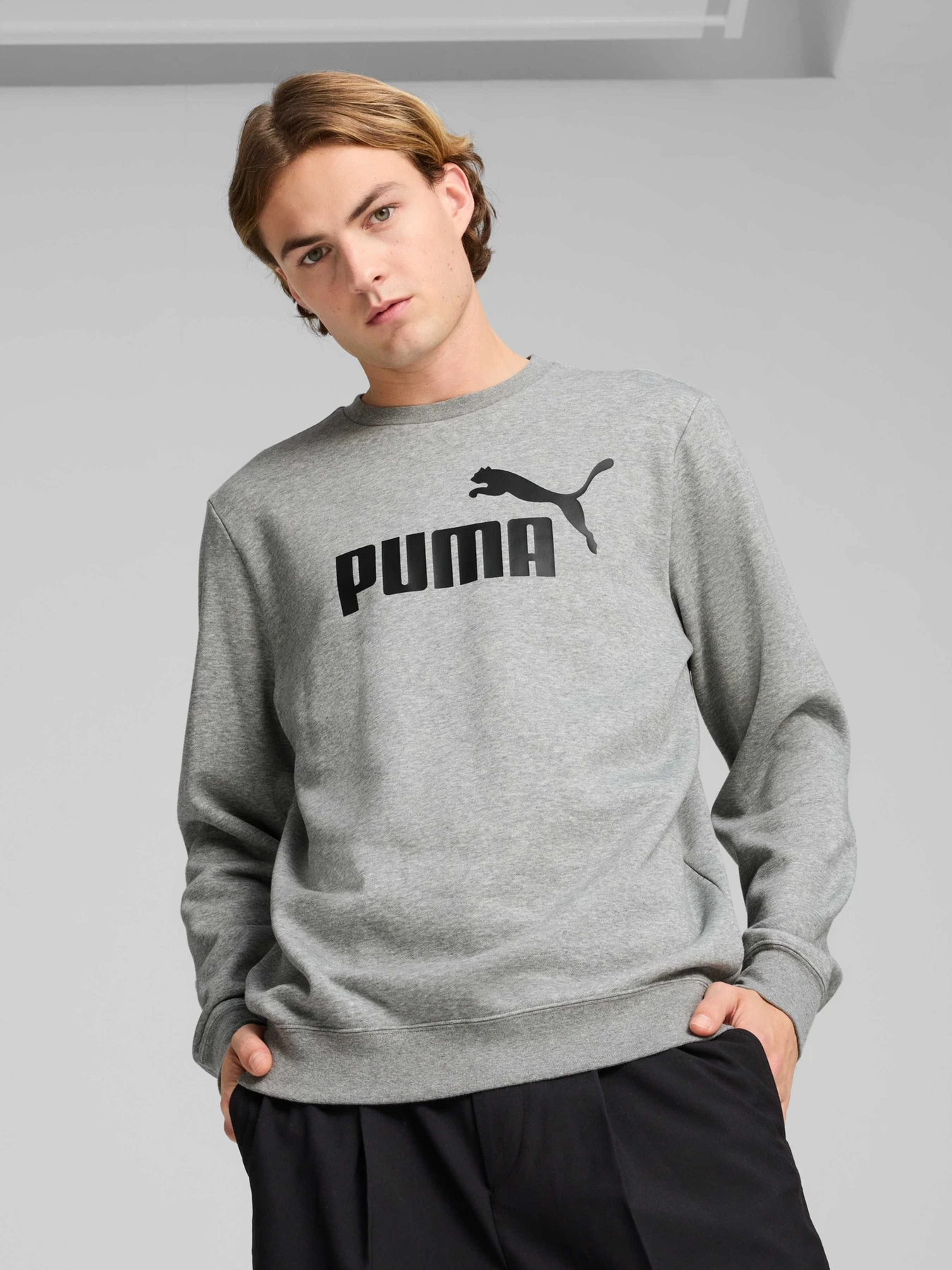 Худі та світшоти PUMA Ess No. 1 Logo Crew модель 682558 Худі та світшоти PUMA Ess No. 1 Logo Crew модель 682558 Фото