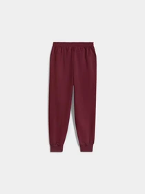 Брюки PUMA Bmw Mms Ess+ Pants Fleece модель 627499 Фото