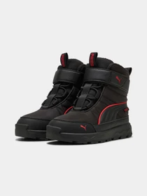 Ботинки и сапоги PUMA Evolve Boot Purtx Ac+ps модель 392649 Фото
