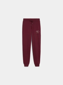 Брюки PUMA Class Sweatpants модель 688135 Фото
