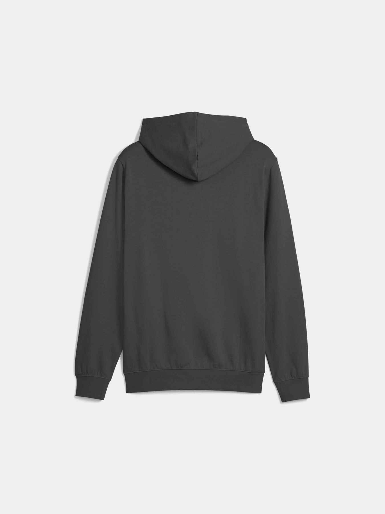Худі та світшоти PUMA Ess Elevated Hoodie модель 688254 Худі та світшоти PUMA Ess Elevated Hoodie модель 688254 Фото