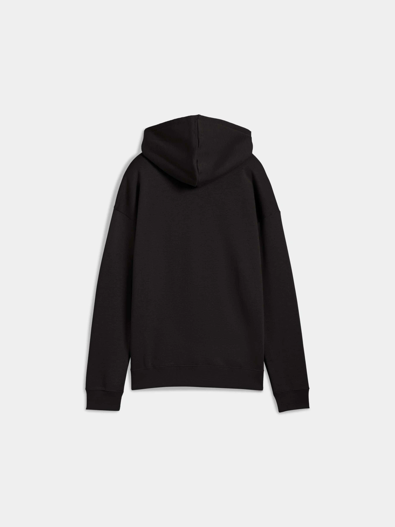 Худі та світшоти PUMA Class Relaxed Hoodie модель 688132 Фото