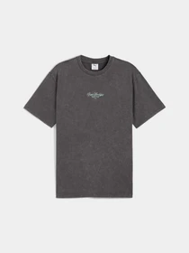Футболки і поло PUMA Graphic Relaxed Washed Tee модель 632119 Фото