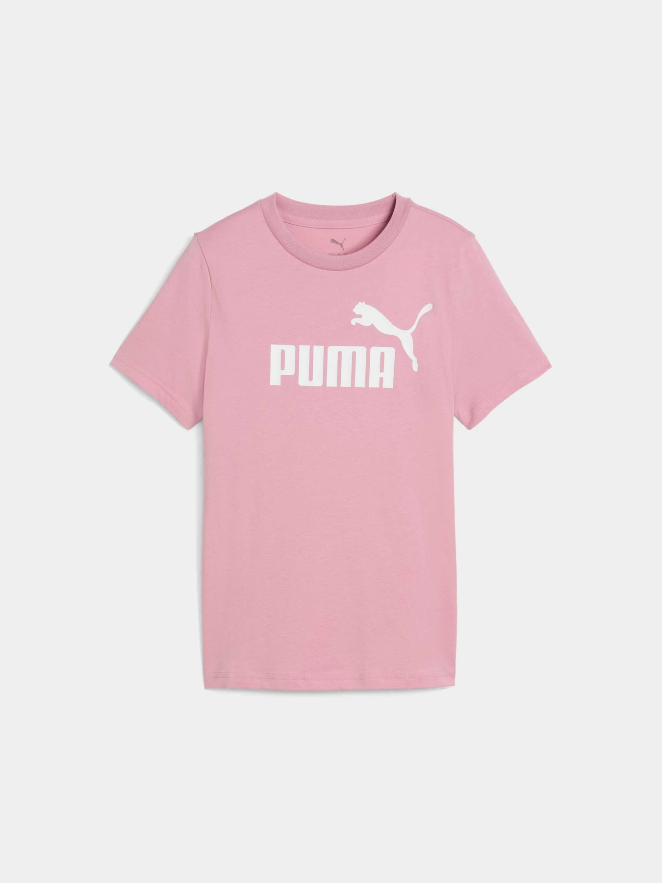 Футболки и поло PUMA Ess No. 1 Logo Tee модель 684892 Фото