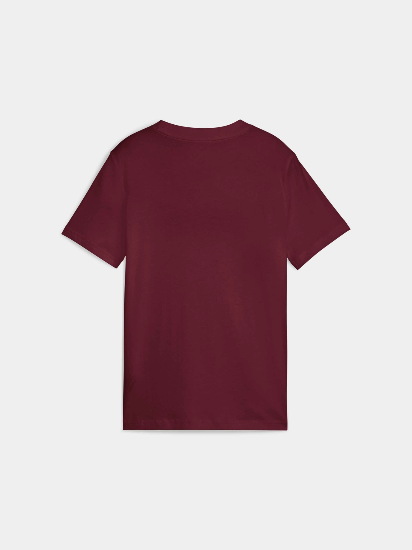 Футболки и поло PUMA Ess No. 1 Logo Tee модель 684892 Фото