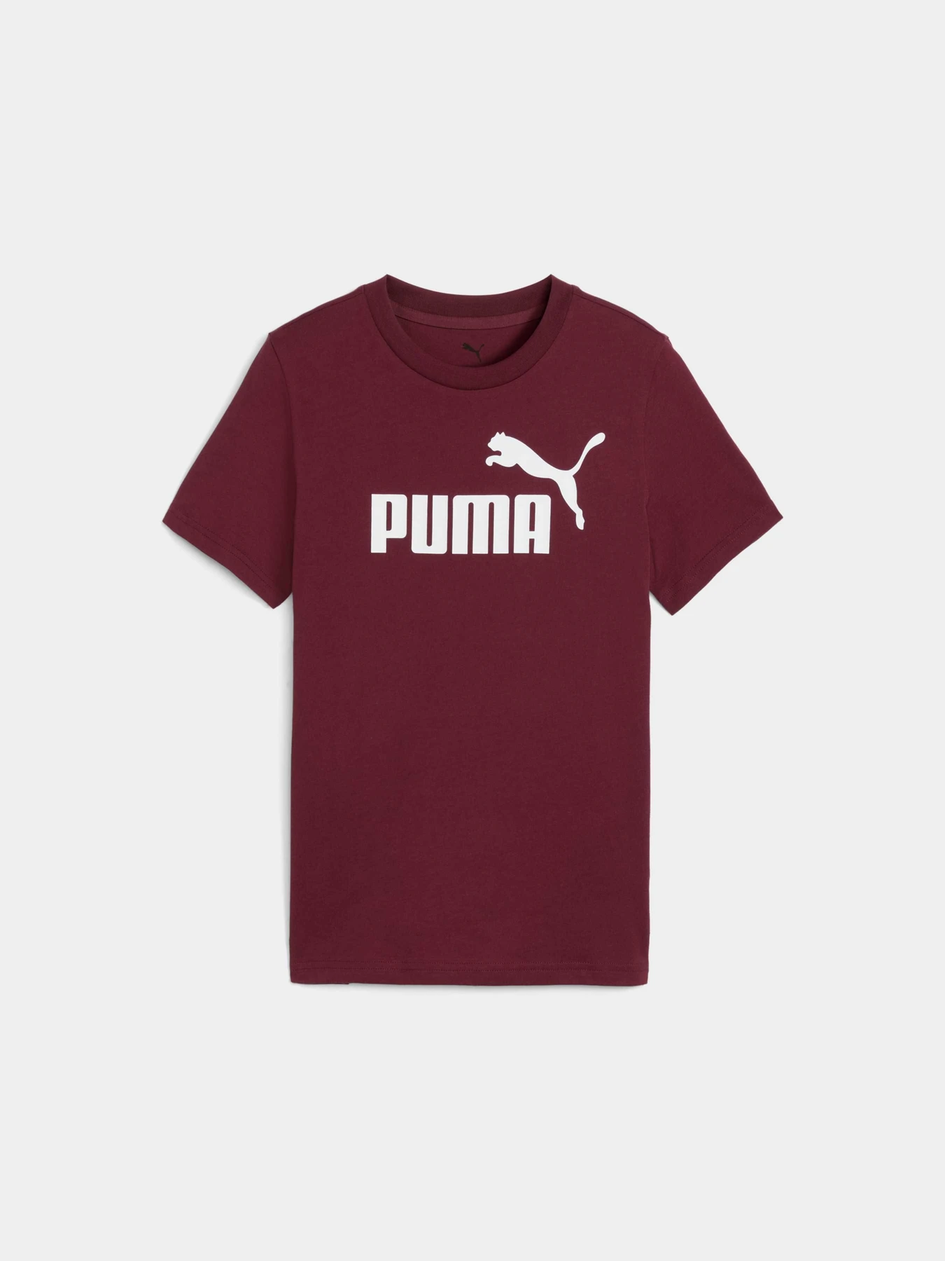 Футболки и поло PUMA Ess No. 1 Logo Tee модель 684892 Фото