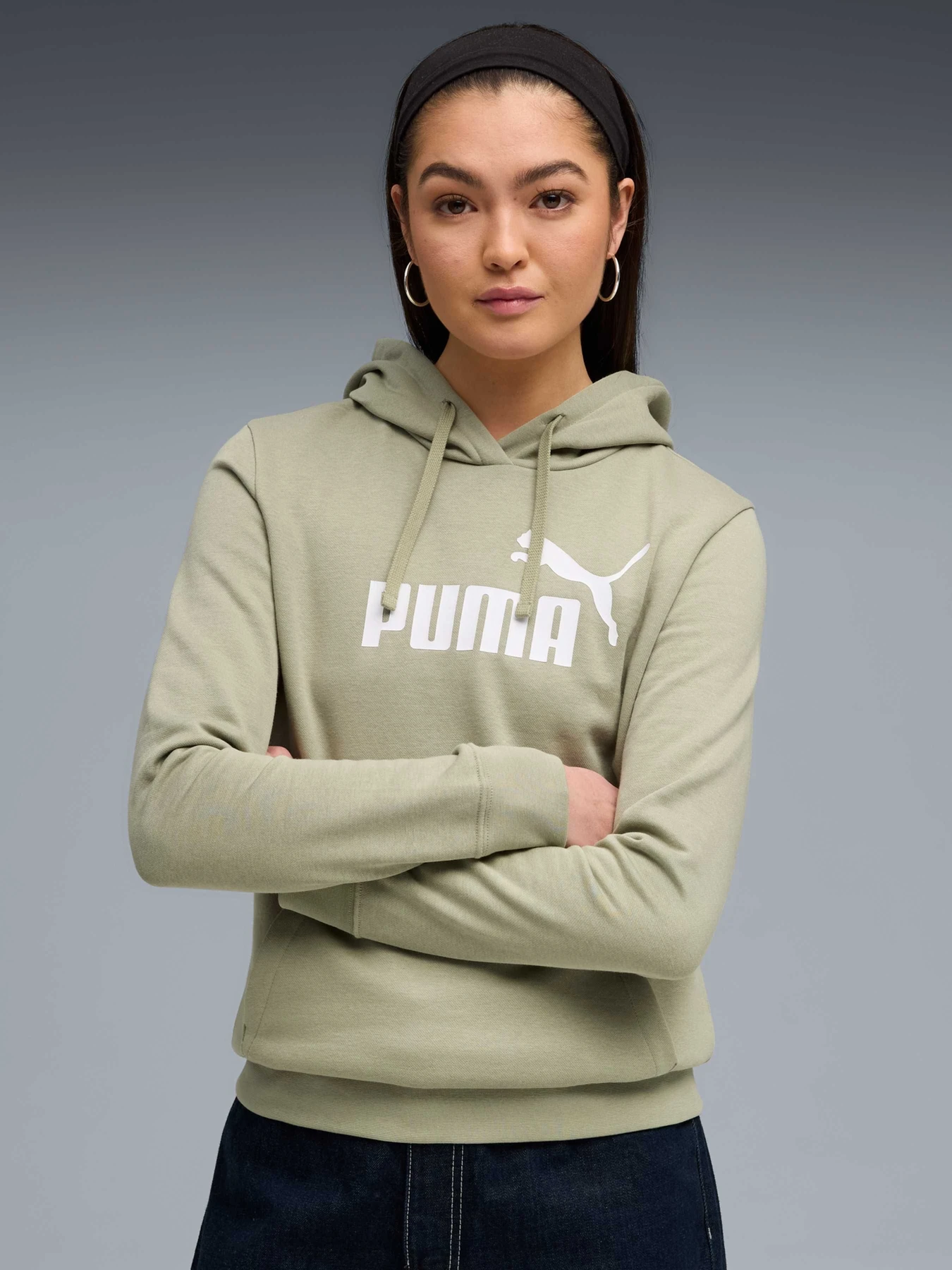 Худи и свитшоты PUMA Ess No. 1 Logo Hoodie модель 682389 Фото