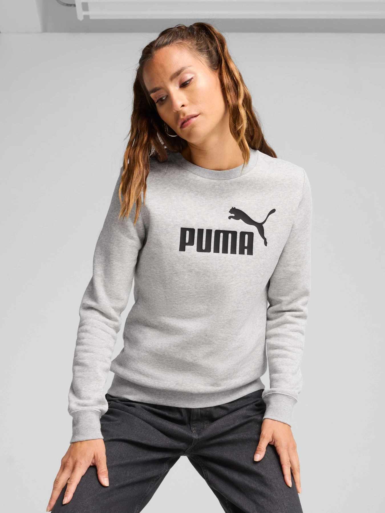 Худі та світшоти PUMA Ess No. 1 Logo Crew модель 682412 Худі та світшоти PUMA Ess No. 1 Logo Crew модель 682412 Фото