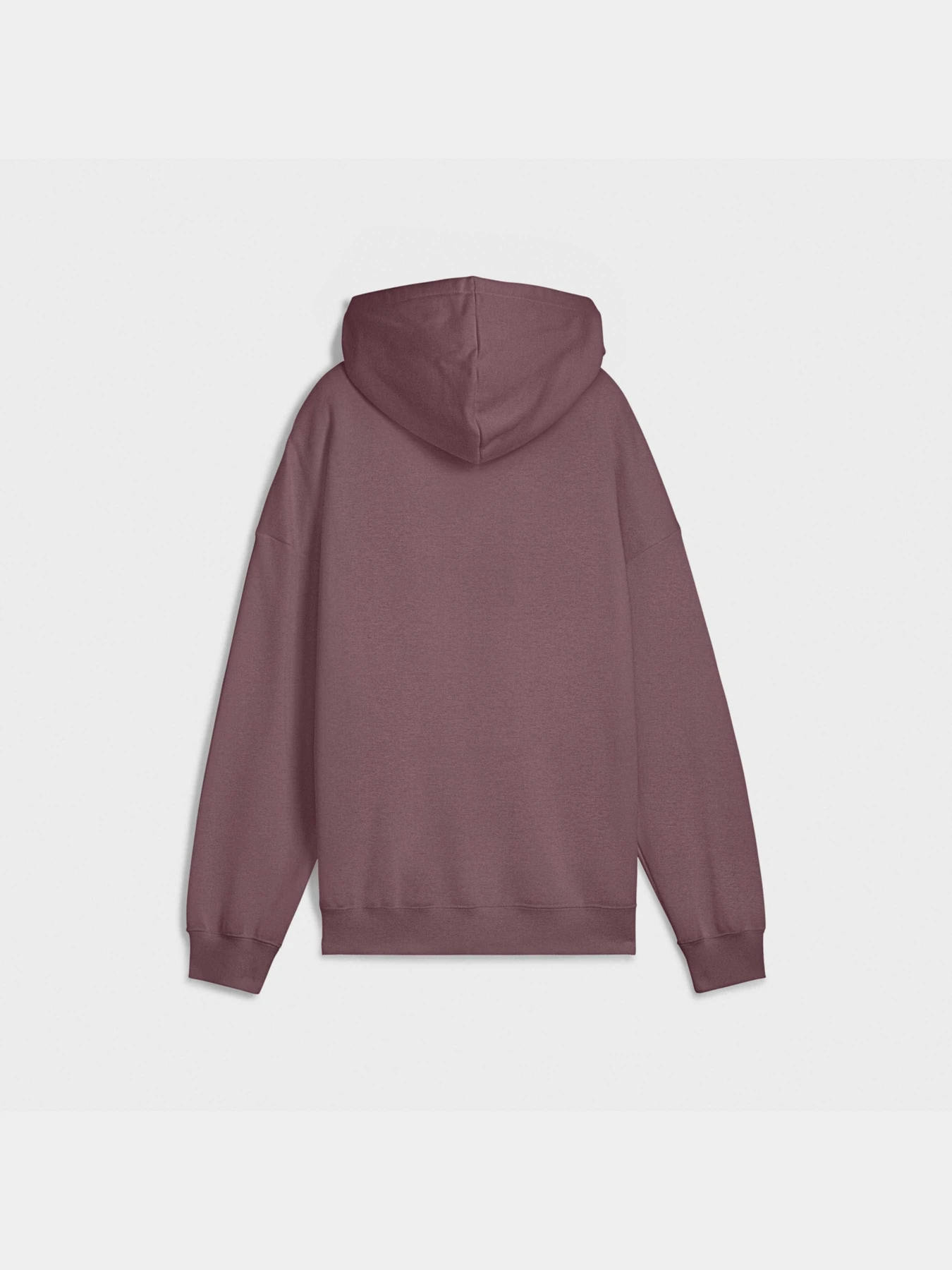 Худі та світшоти PUMA Ess Oversized Hoodie модель 685398 Худі та світшоти PUMA Ess Oversized Hoodie модель 685398 Фото