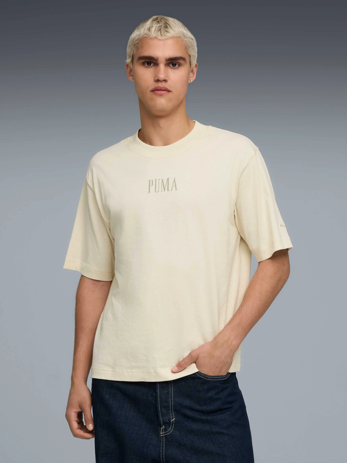 Футболки і поло PUMA Premium Ess Graphic Boxy Tee модель 632069 Фото