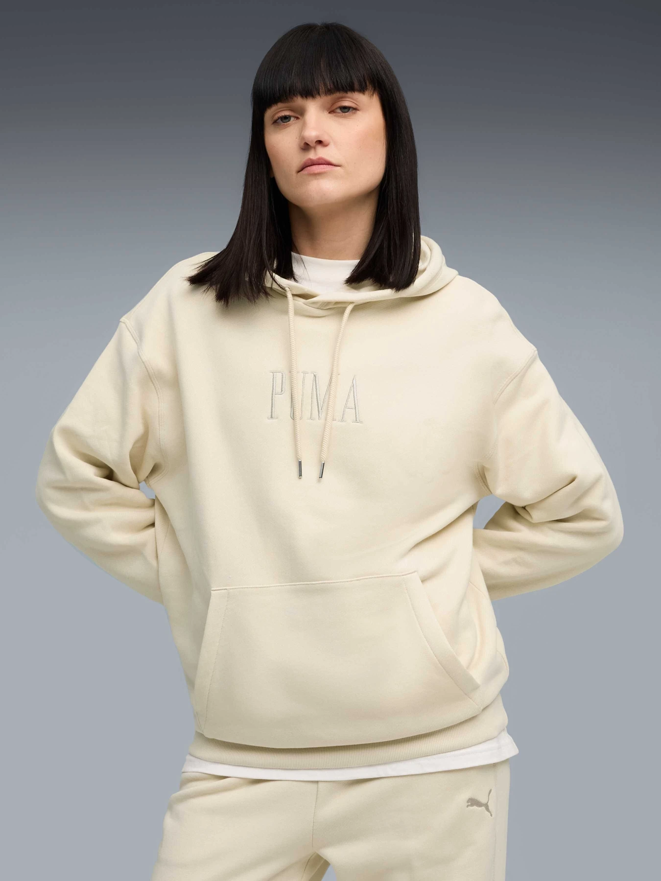 Худі та світшоти PUMA Premium Ess Graphic Hoodie модель 632071 Фото