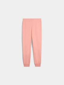 Штани PUMA Class Sweatpants модель 685037 Фото