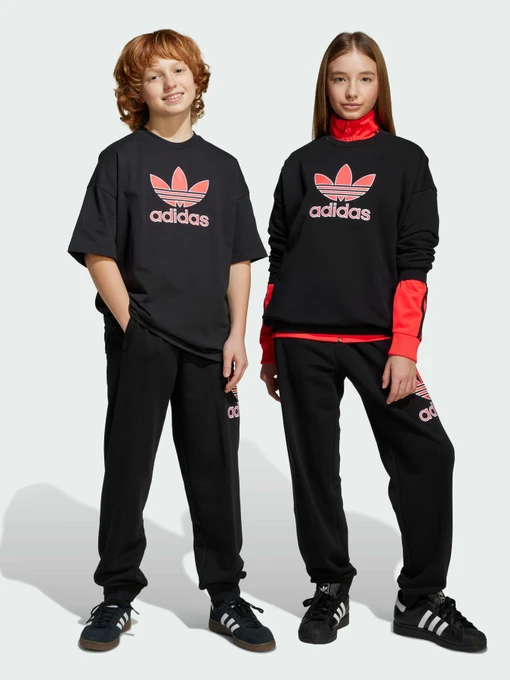 Брюки Adidas Adicolor модель JV7781 Фото