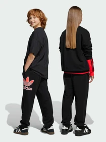 Брюки Adidas Adicolor модель JV7781 Фото