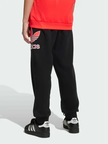 Брюки Adidas Adicolor модель JV7781 Фото