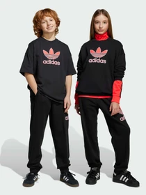 Брюки Adidas Adicolor модель JV7781 Фото