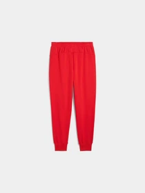 Брюки PUMA F1 Ess+ Sweatpants - Relaxed модель 630123 Фото