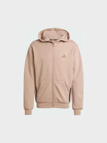 Худи и свитшоты Adidas Clima модель JX0690 Фото