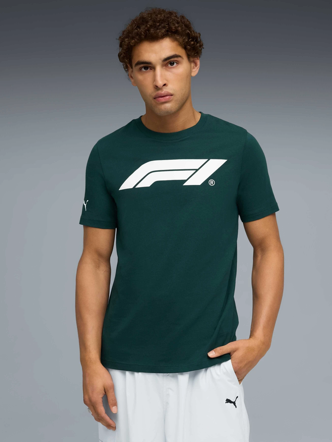 Футболки и поло PUMA F1 Ess Logo Tee 180g модель 633264 Футболки и поло PUMA F1 Ess Logo Tee 180g модель 633264 Фото
