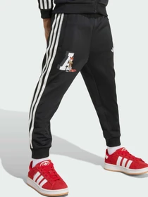 Костюми Adidas Graphics модель JX3021 Фото