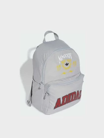 Рюкзаки Adidas Graphics модель IX7478 Фото