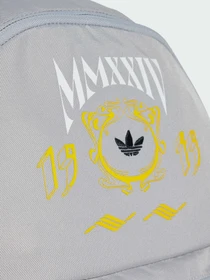 Рюкзаки Adidas Graphics модель IX7478 Фото