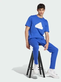 Штани Adidas модель IW8560 Фото