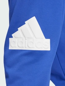 Штани Adidas модель IW8560 Фото