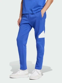 Штани Adidas модель IW8560 Фото