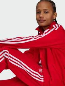 Брюки Adidas Adicolor модель IY9806 Фото