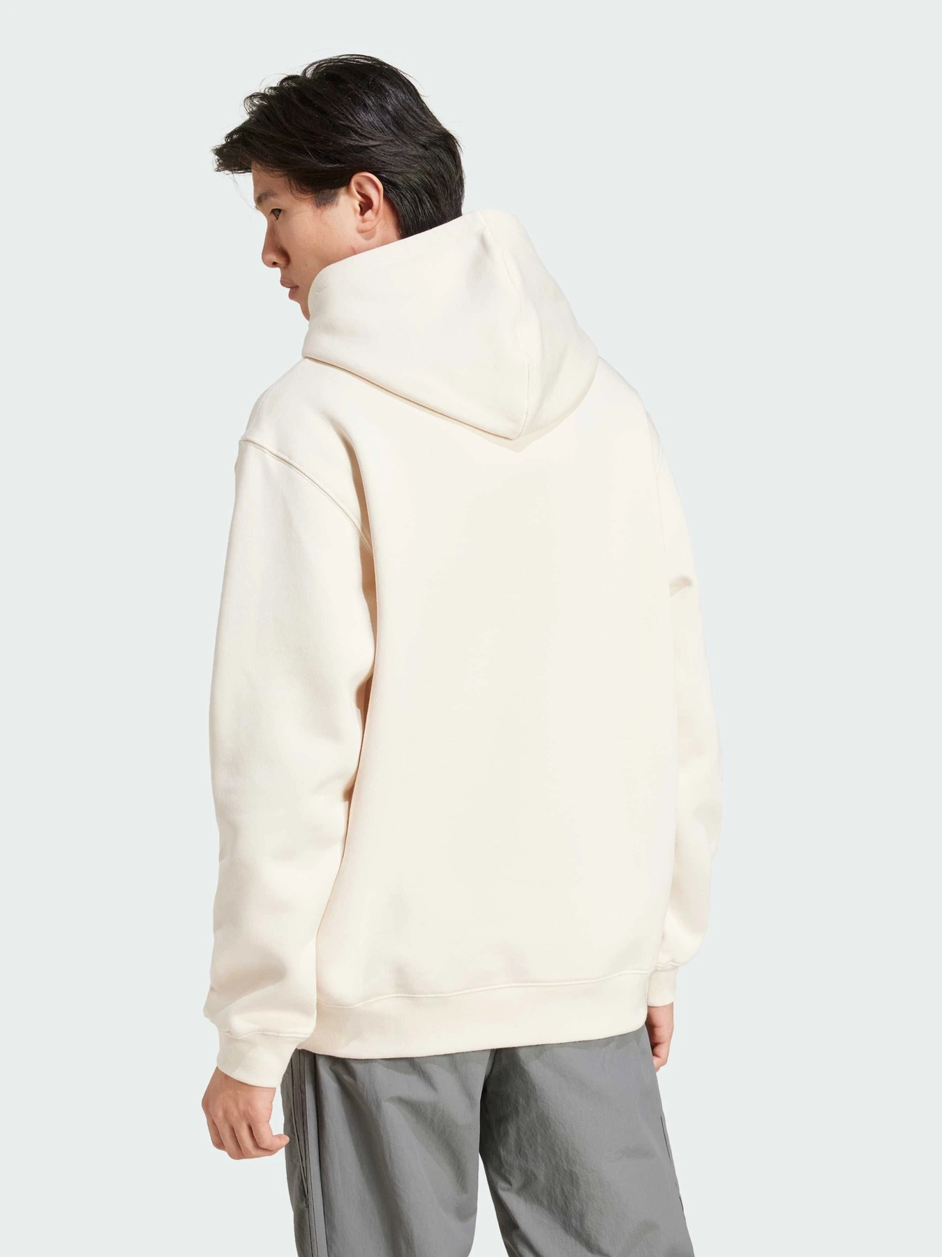 Худи и свитшоты Adidas Graphics модель IZ2567 Фото