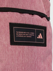 Рюкзаки Adidas модель IZ1913 Фото