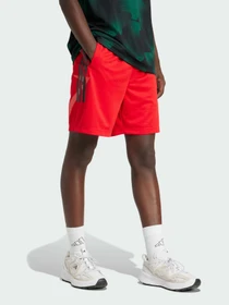 Шорти Adidas Tiro модель JC8057 Фото