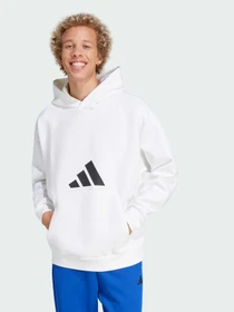 Худи и свитшоты Adidas модель JD4892 Фото