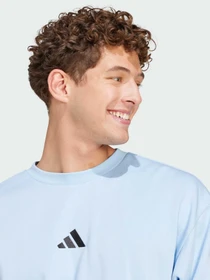 Худи и свитшоты Adidas модель JE3789 Фото