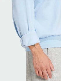 Худи и свитшоты Adidas модель JE3789 Фото
