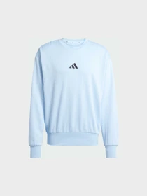Худи и свитшоты Adidas модель JE3789 Фото