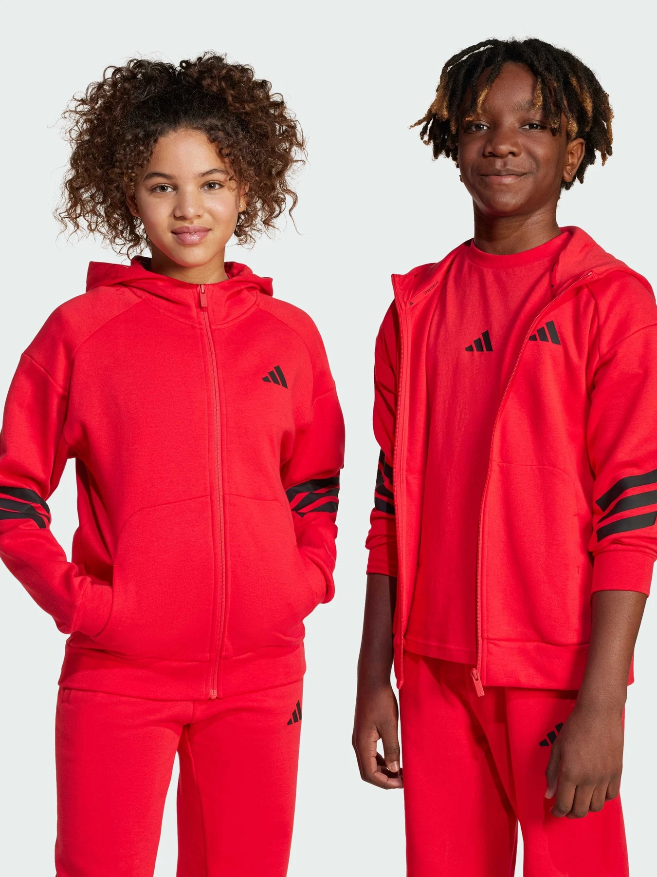 Худи и свитшоты Adidas 3 Stripes модель JJ4802 Худи и свитшоты Adidas 3 Stripes модель JJ4802 Фото