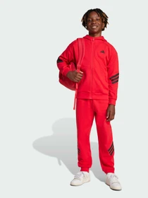 Худи и свитшоты Adidas 3 Stripes модель JJ4802 Фото