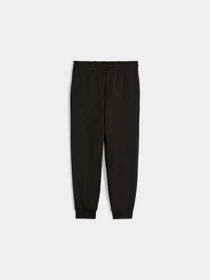 Брюки PUMA Ess No. 1 Logo Sweatpants модель 684933 Фото