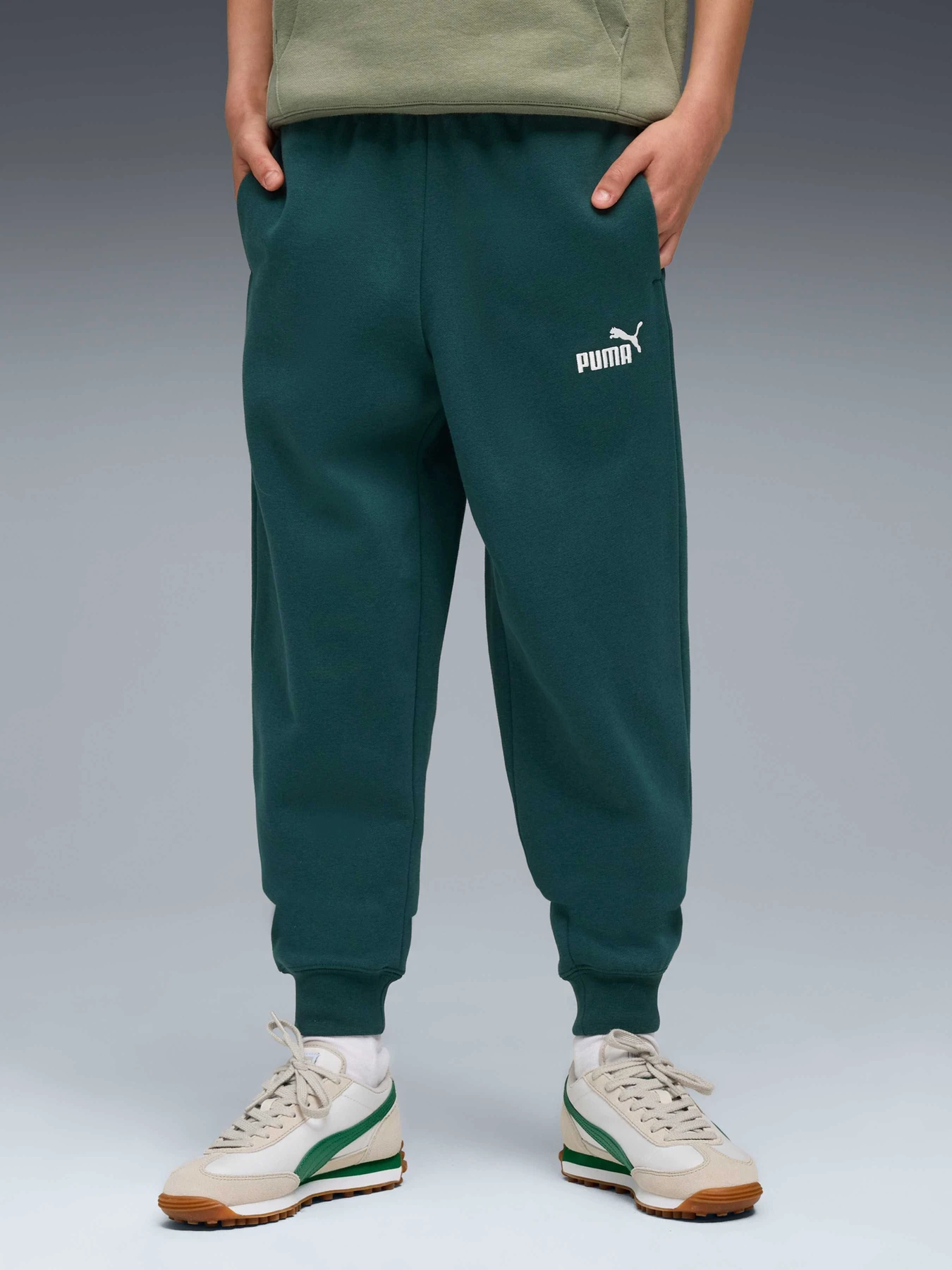 Брюки PUMA Ess No. 1 Logo Sweatpants Fl модель 684912 Фото