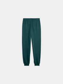 Брюки PUMA Ess No. 1 Logo Sweatpants Fl модель 684912 Фото