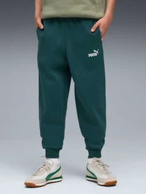 Брюки PUMA Ess No. 1 Logo Sweatpants Fl модель 684912 Фото